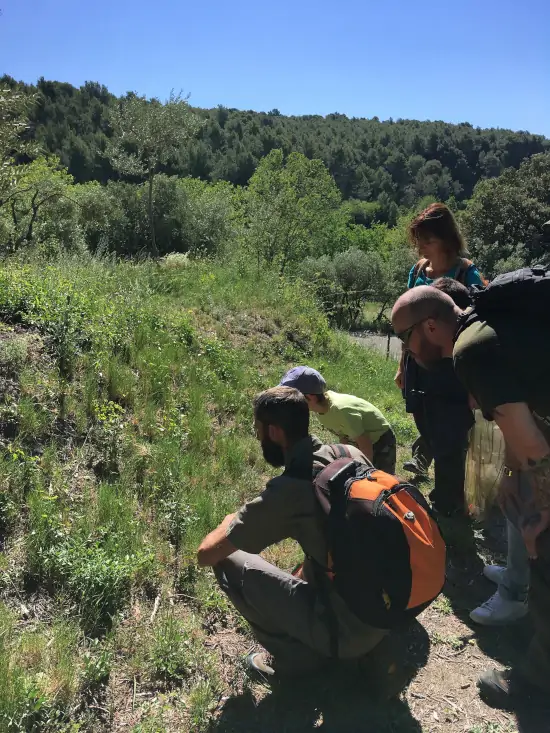 rutas de senderismo naturalista