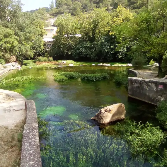 Sorgue rio